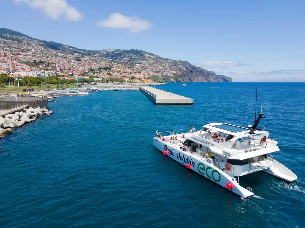 The catamaran passing the Funchal waterfront