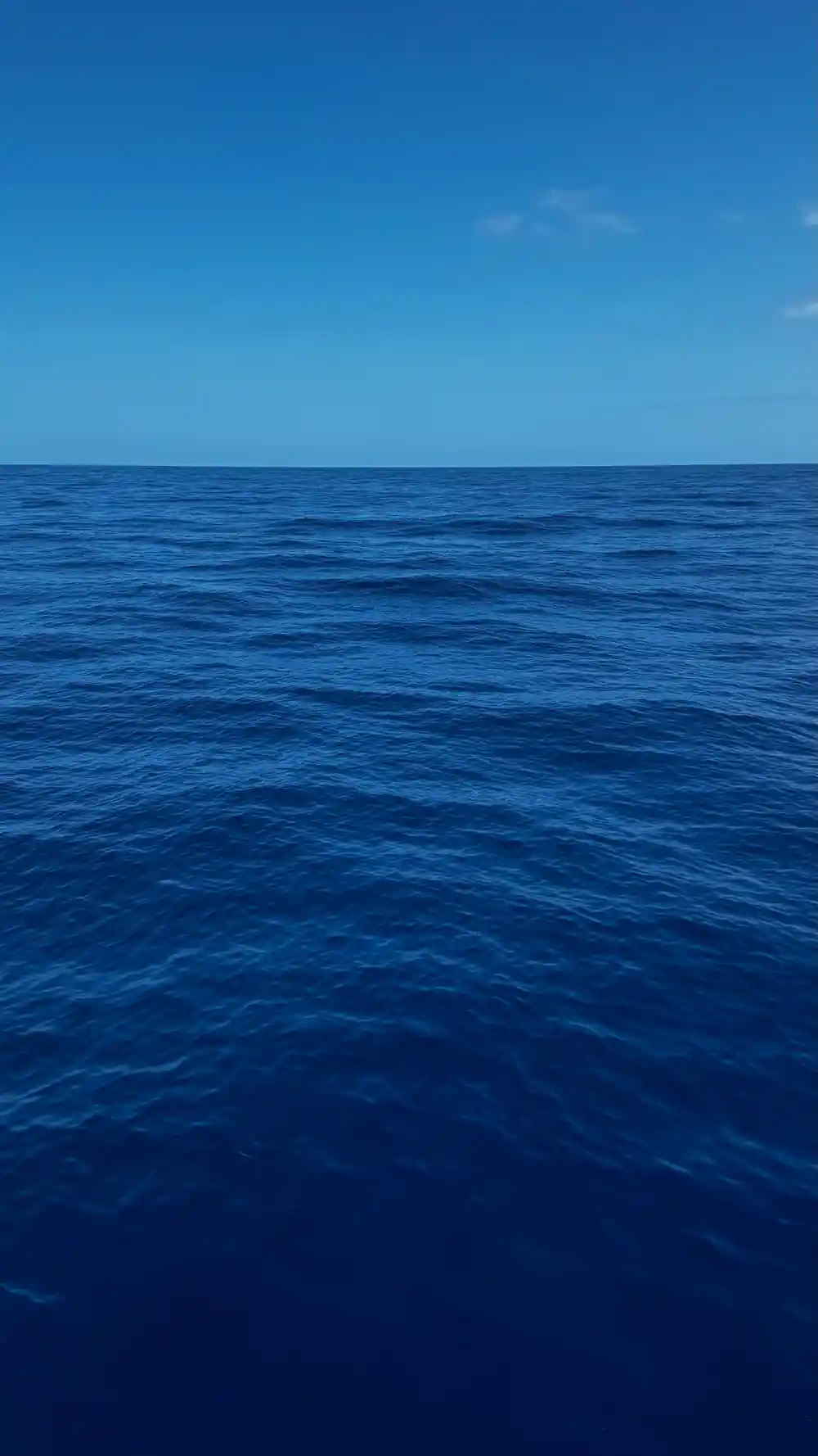 Deep blue open water under a clear sky