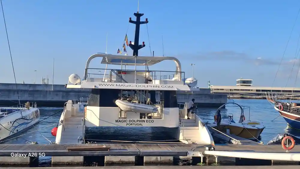 The Magic Dolphin Eco alongside the quay
