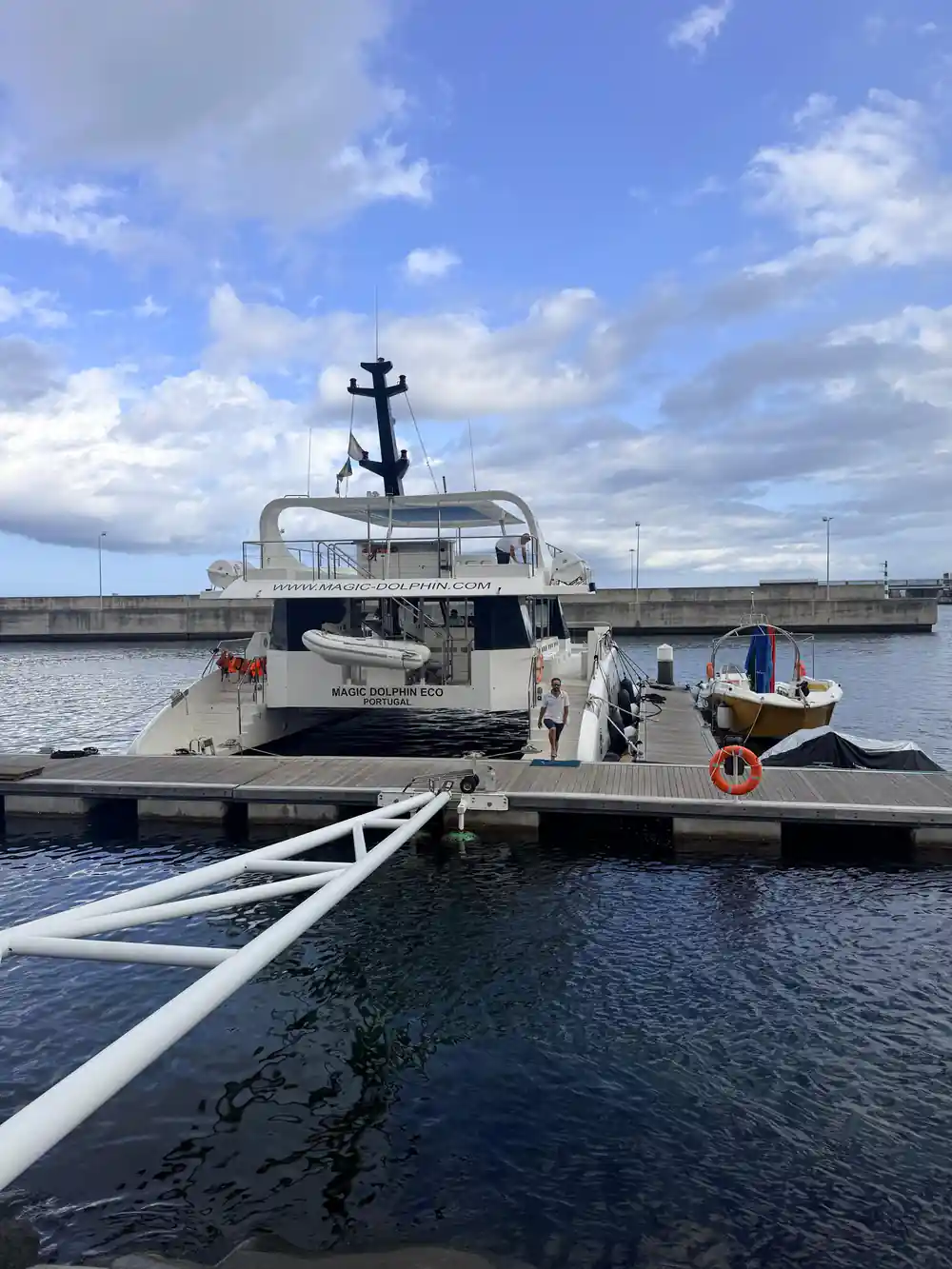 The Magic Dolphin Eco at the pontoon from the quay