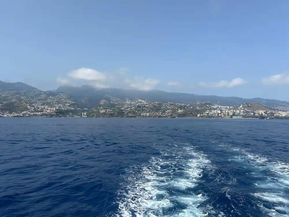 The wake trailing back toward the Funchal shoreline